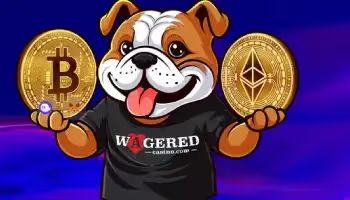 Wagered Casino Welcome bonusNew Project