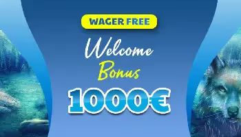 Wolfy Casino Welcome bonus