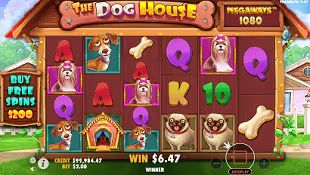 the dog house megaways