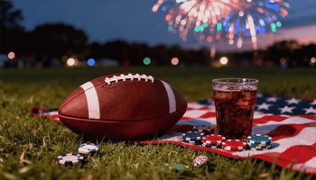 4th of july fireworks at dusk picnic on grass