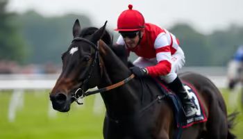 horse and jockey with the colors red white and bla 32939