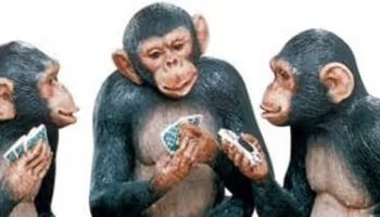 Monkeys help us understand gaming behaviour