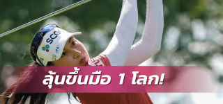 15 36 697 Projean 20no 20one