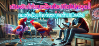 Online cockfighting betting continues to grow