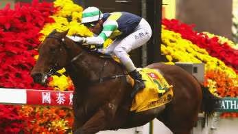 Sacred Kingdom horse