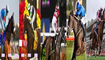 5 ม้าแข่งยอดนิยมในเอเซีย