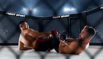 นักชก UFC ที่มีรายได้มากสุด