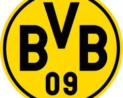 BVB09
