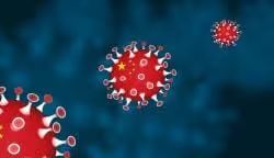 Gaming During the Carona Virus Pandemic