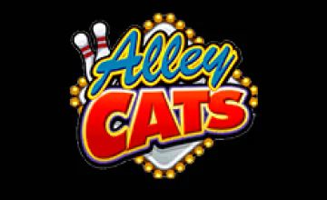 alley-cats
