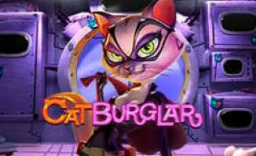 cat-burglar
