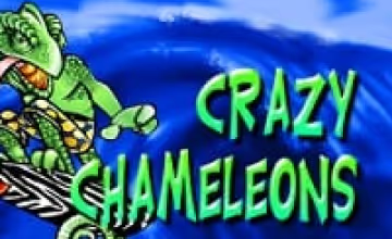 crazy-chameleons