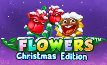 flowers-christmas-edition