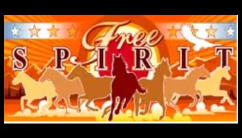 Free Spirit Wheel of Wealth