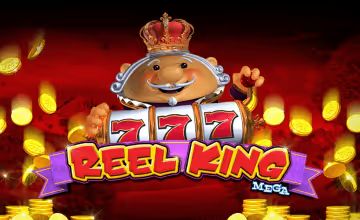 reel-king-mega slot game