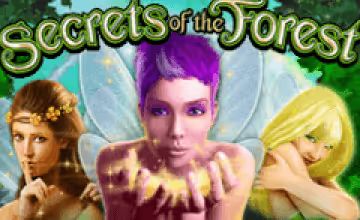 secrets-of-the-forest