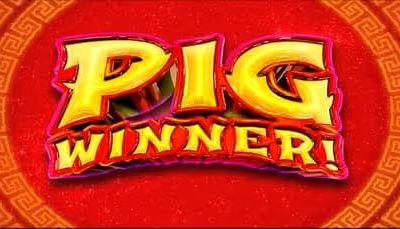 pig winner online pokies
