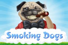 Smoking Dogs Pokie