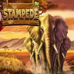 Stampede online slot logo