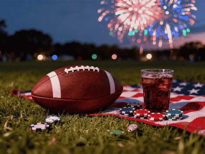 4th of july fireworks at dusk picnic on grass