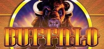 Buffalo Logo 1