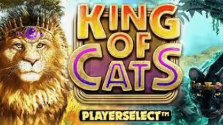 0 50 606 king 20of 20cat 20magaway 1