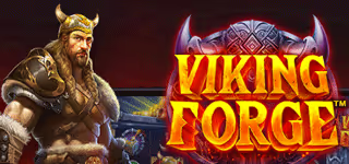 193c5877933c993cfcf9e8ec1cc937b1 Viking Forge logo 0 1