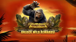 35 50 486 download 20 282 29 1