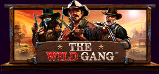 5944a9cb0ca4a5a1bd55b671803f44b8 The Wild Gang Logo 0 1