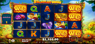 9cf251eb6ed8c73eaf49ecae274257f3 3 Buzzing Wilds Free Spint Wild 0 1