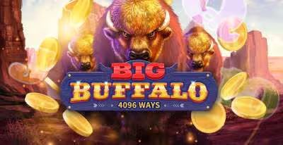Big Buffalo 0 1
