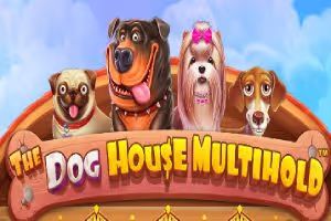 dog house multihold 0 1
