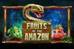 Fruits of the Amazon 1