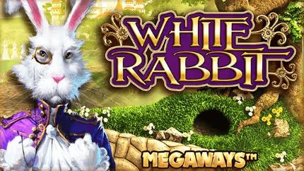 whiterabbit 1 1