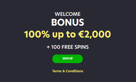 LionSpin Casino Welcome Bonus: 100% Up to €2000 + 100 free spins