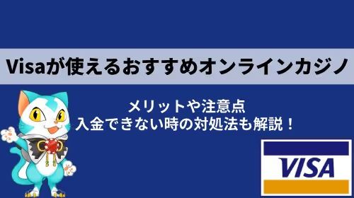 VISA オンカジ