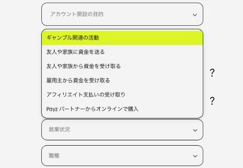 ペイズ情報 1