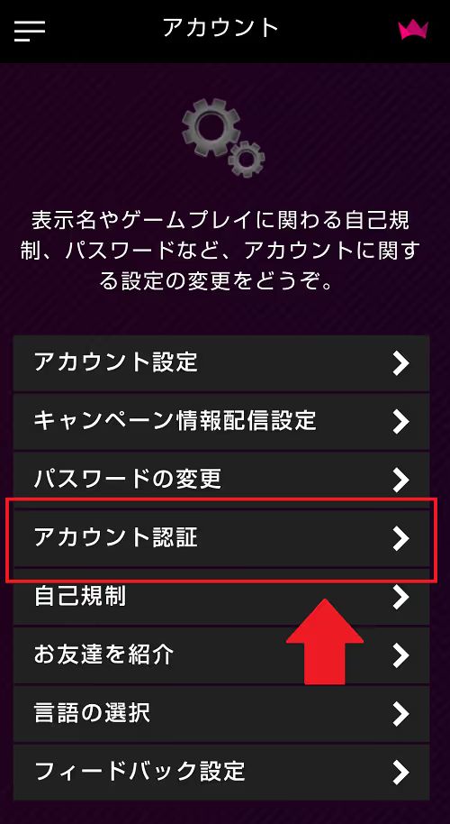 インターカジノのアカウント認証画面