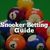 Sports Games snooker guide a triangle of snooker balls in a sym 26495