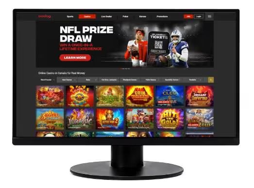 Bodog Casino screenshot
