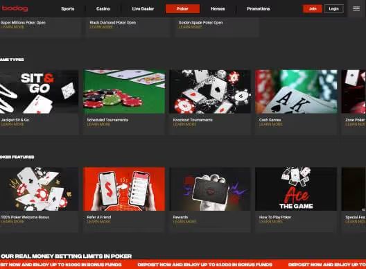 Bodog poker screenshot