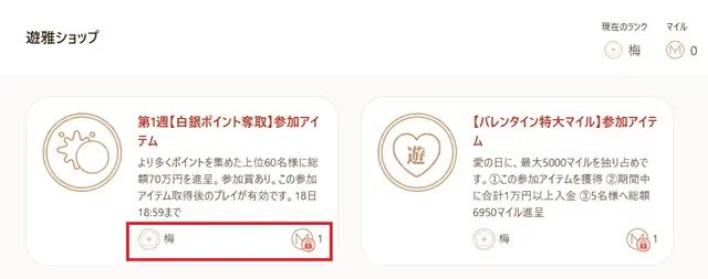 遊雅ショップ　キャンペーン参加券
