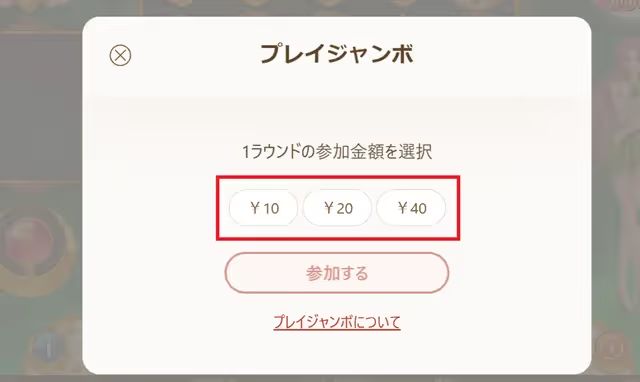 遊雅堂のプレイジャンボ　参加金額