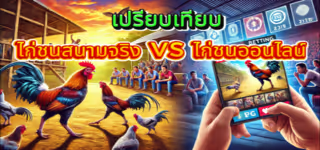 Compare real cockfighting vs online cockfighting