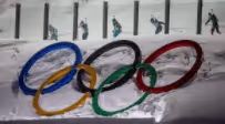 finis winter olympic