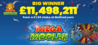 mega moolan big win
