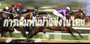 การเดิมพันม้าใน