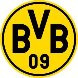 BVB09
