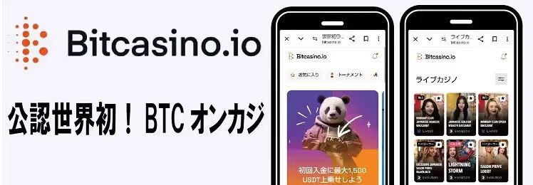 ビットカジノアイオー　オンカジナビ