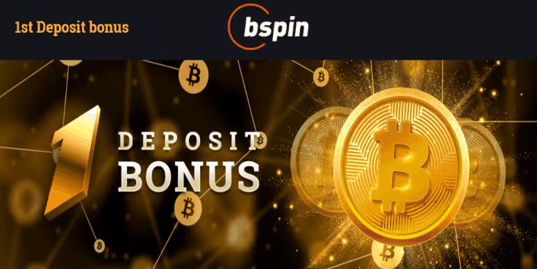 bf925a8b00cc001a78e035de97de1f50 bspin